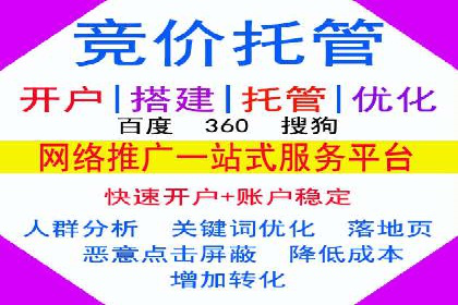 成功案例解析：SEM托管公司服务优势